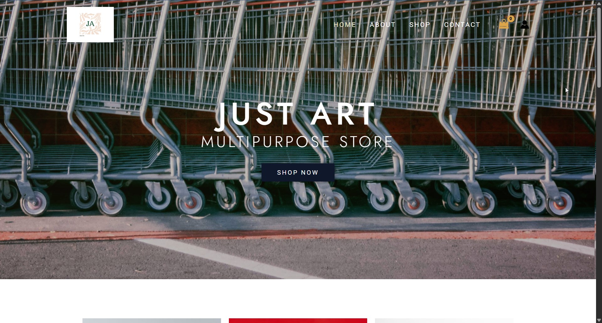Just Art Store